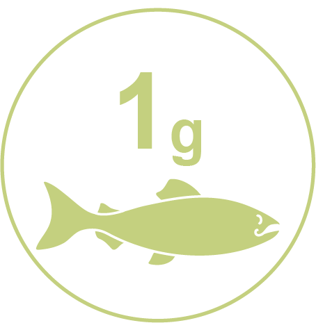 1 Gram Fish Icon